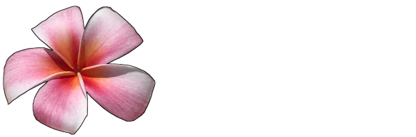 Puget Beach Aesthetics